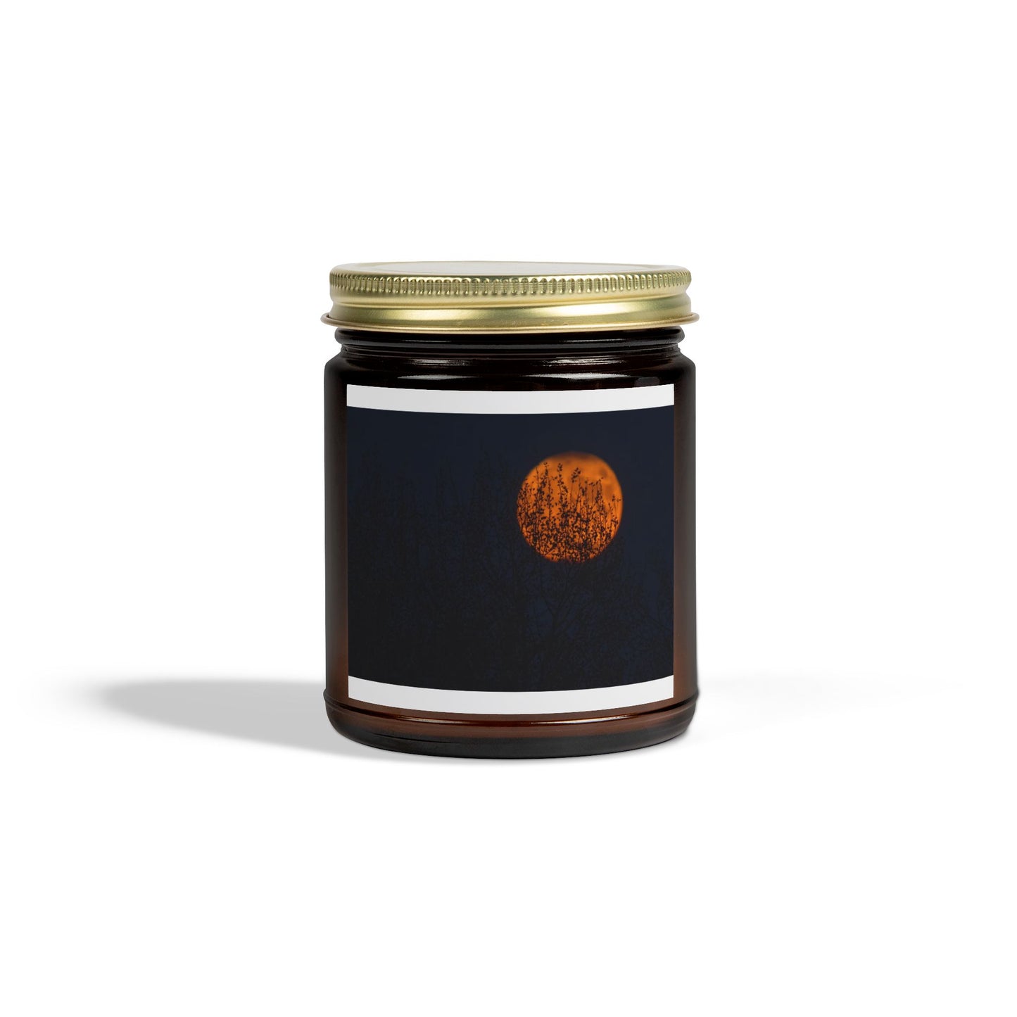 Scented Coconut Apricot Candles (4oz, 9oz)