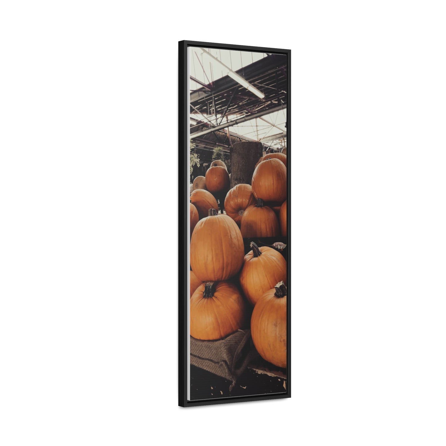 Gallery Canvas Wraps, Vertical Frame