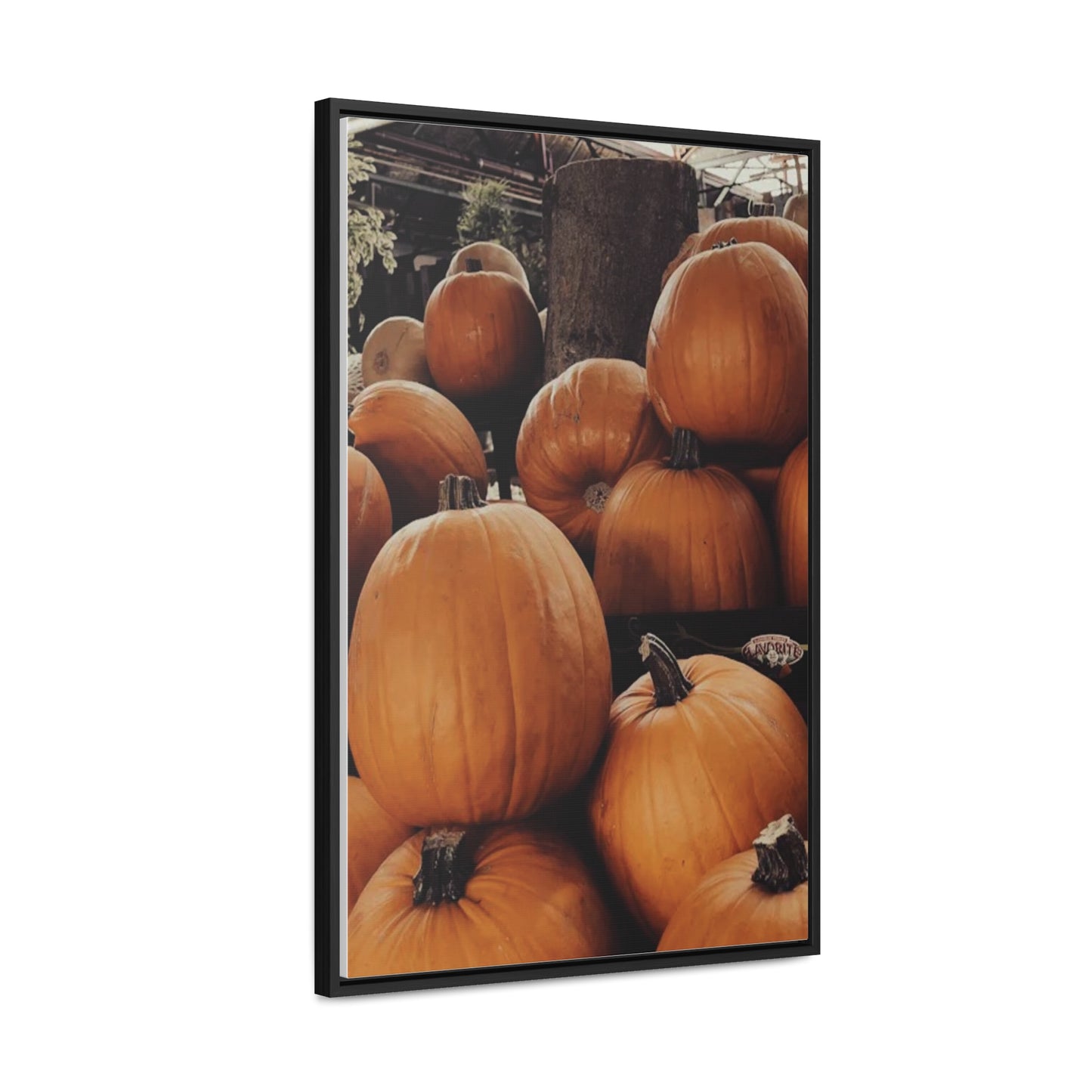 Gallery Canvas Wraps, Vertical Frame