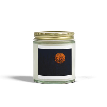 Scented Coconut Apricot Candles (4oz, 9oz)