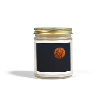 Scented Coconut Apricot Candles (4oz, 9oz)